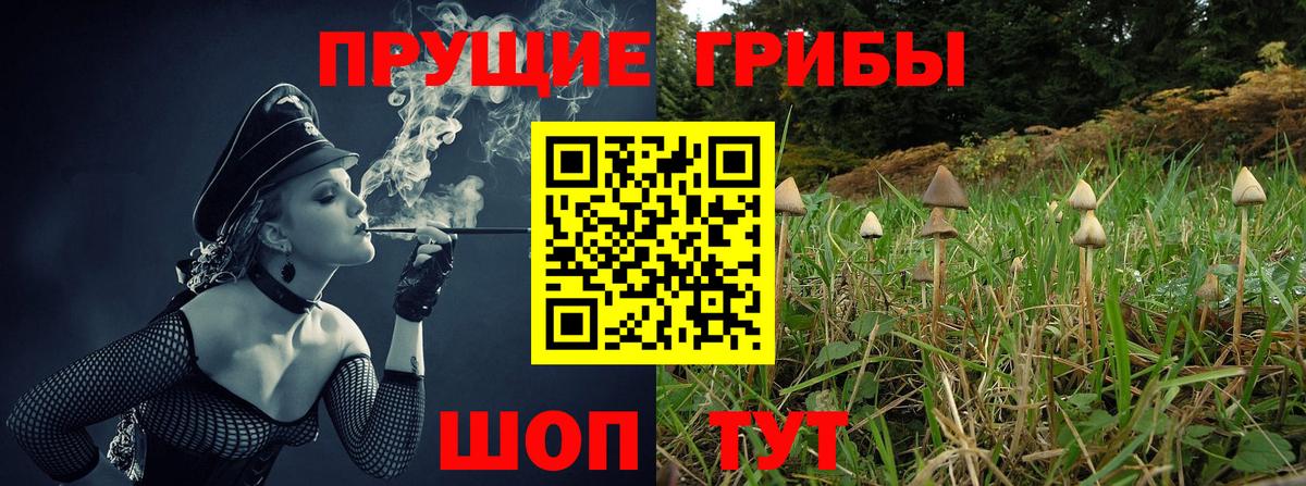 Галлюциногенные грибы мицелий  Вход с VPN  Ярославль 