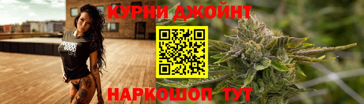 МАРИХУАНА сатива Ярославль